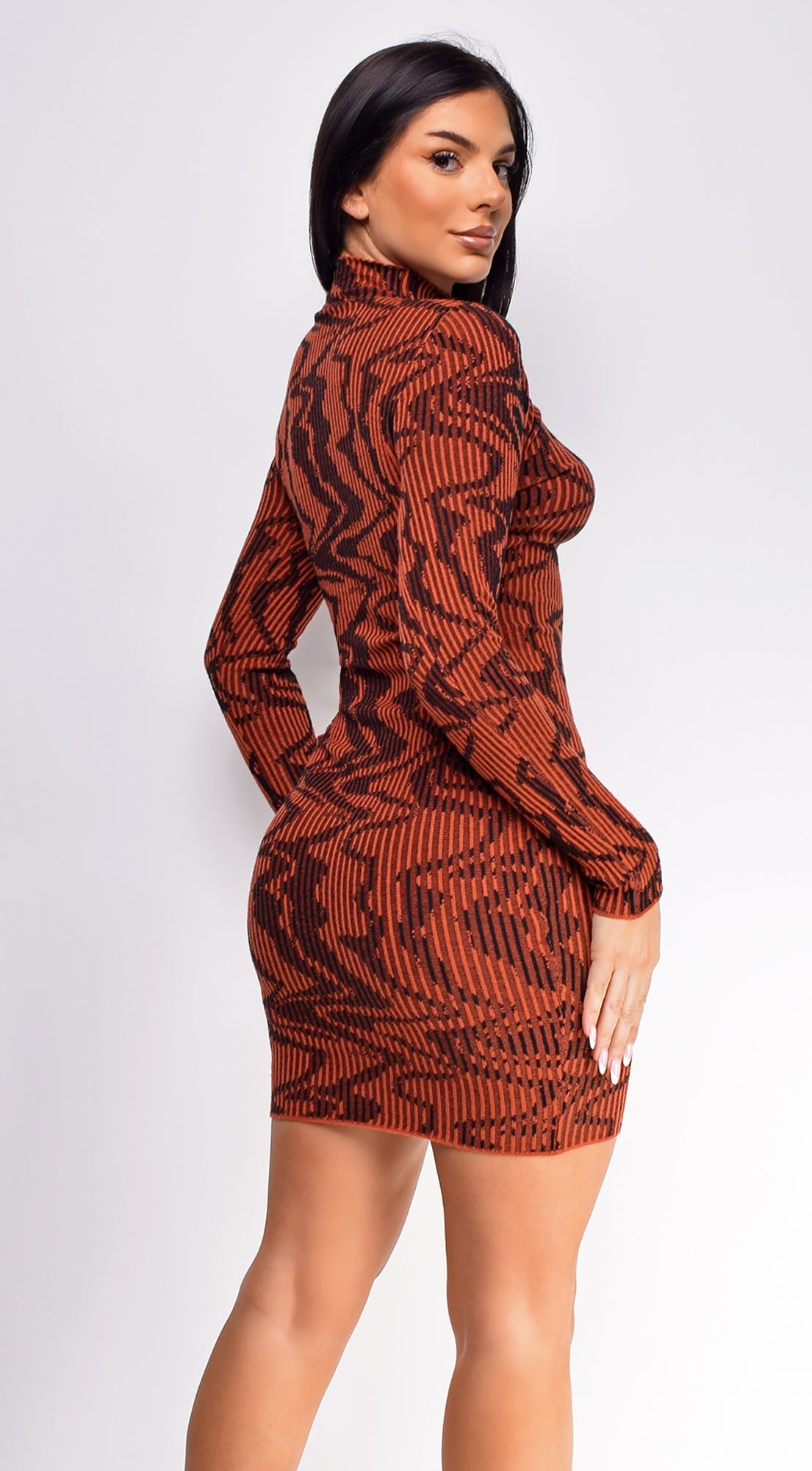 Erica Long Sleeve Mini Dress
