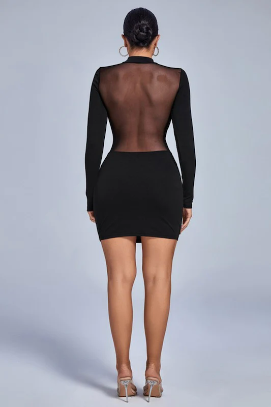 Mesh Hand Mini Dress